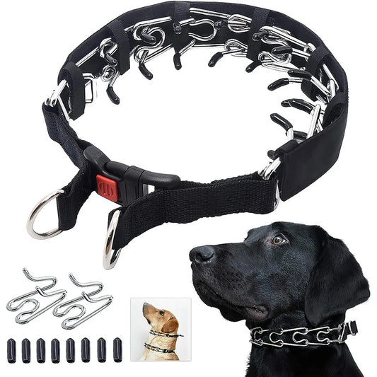 Guard Elite Prong Collar