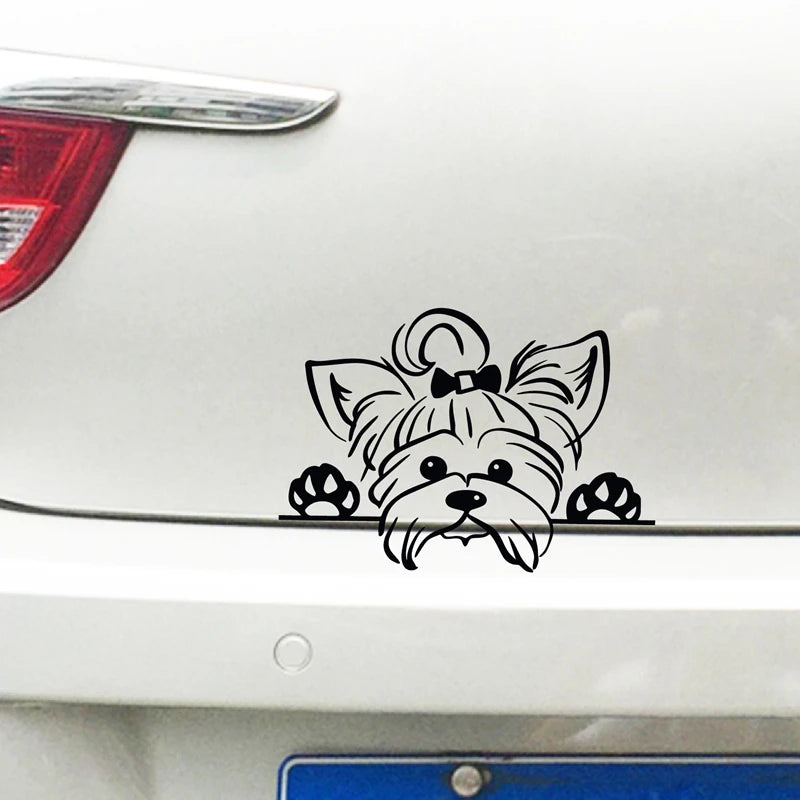 Decalcomania che sbircia lo Yorkshire Terrier