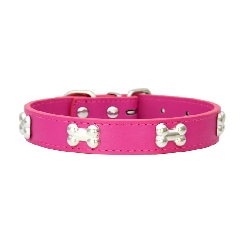 Colorful Dog Collar with Bone Studs