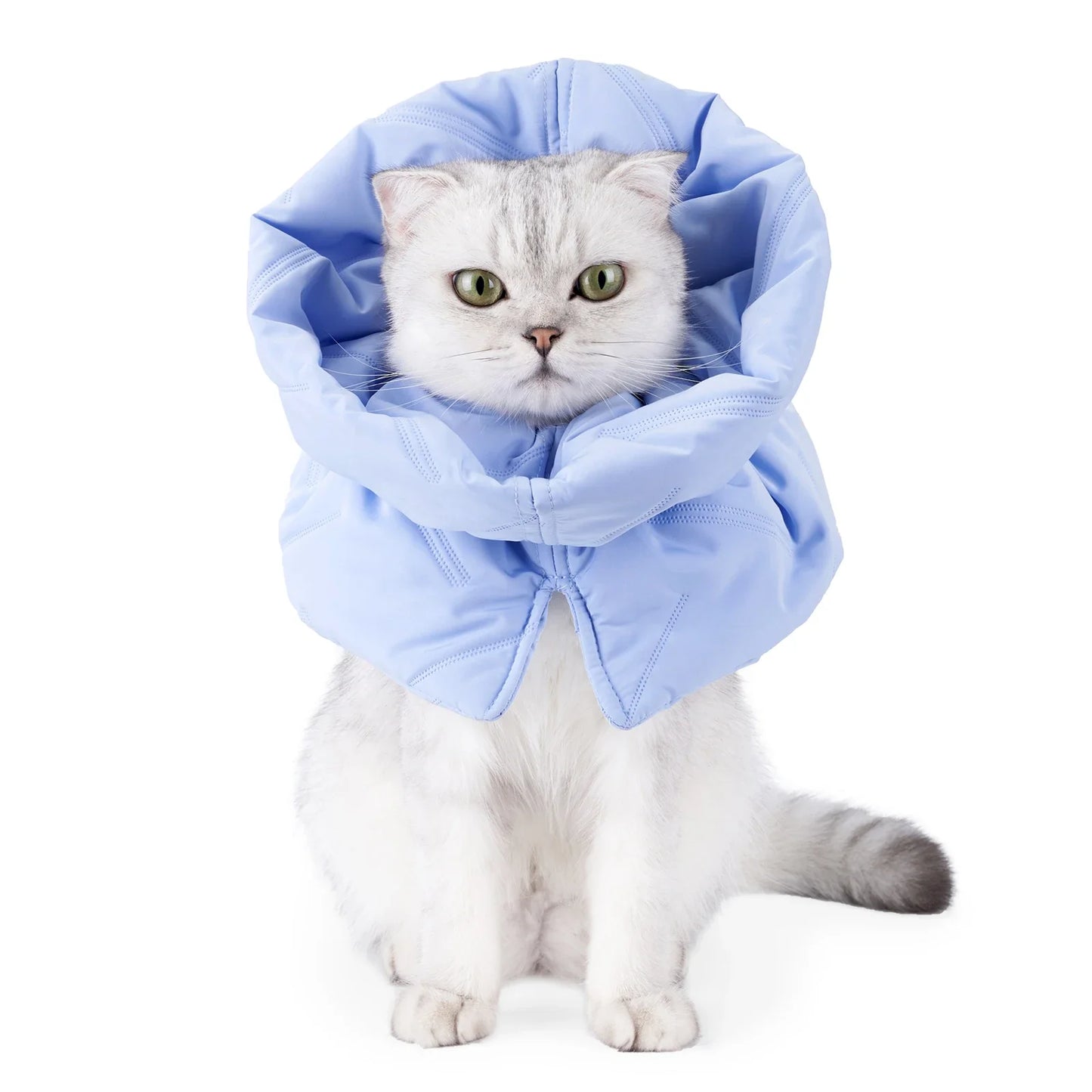 Adjustable Recovery Cat Collar