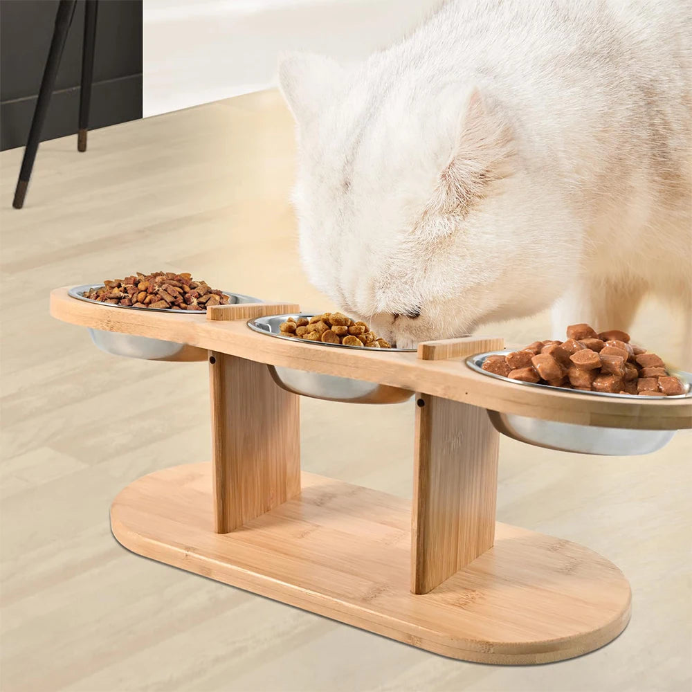 Cat 3 Bowls in 1 Feeding & Watering