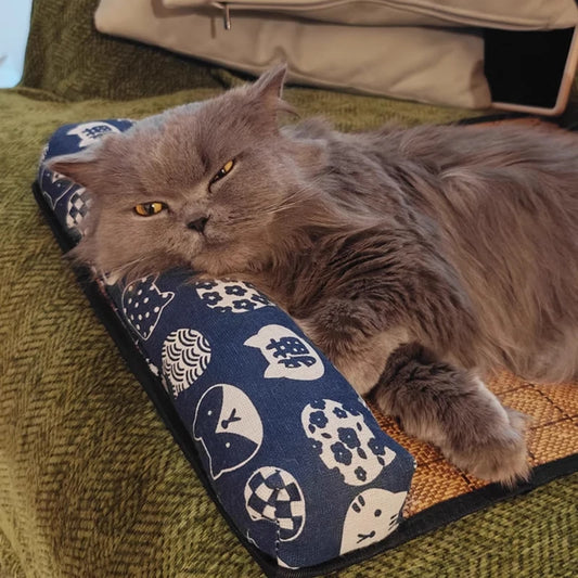 Cat Cooling Mat Sleeping