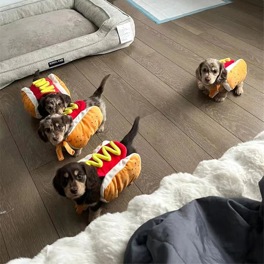 Hot Dog Pet Costume with Bun and Mustard Details