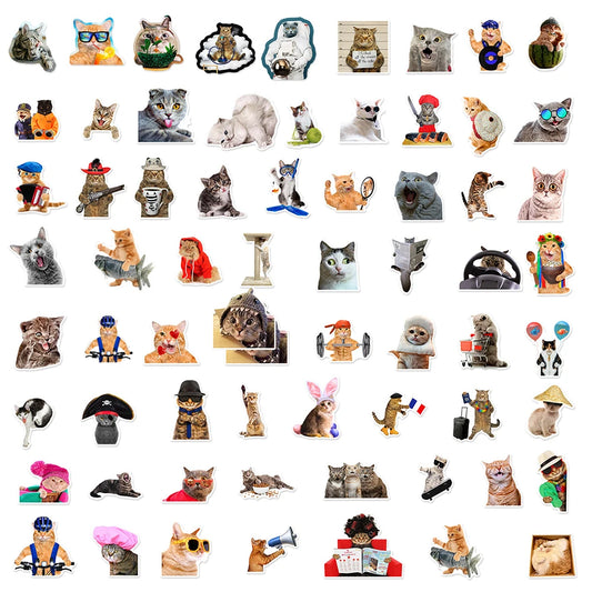 Hilarious Cat Stickers Pack