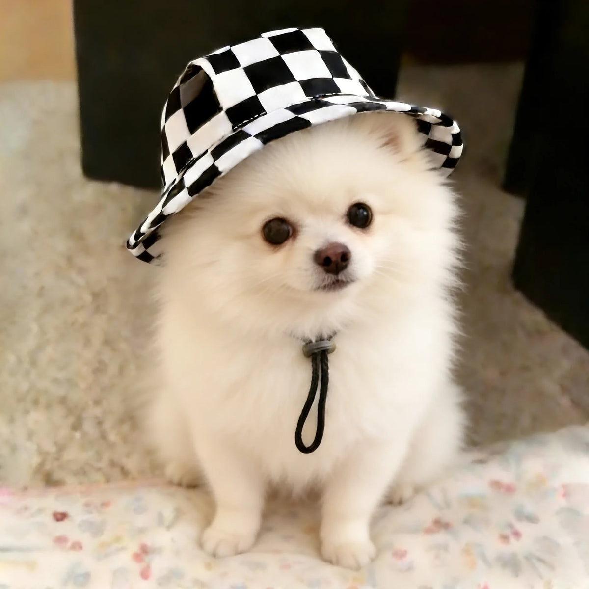 Printed Cotton Pet Bucket Hat with Ear Openings and Adjustable Cord