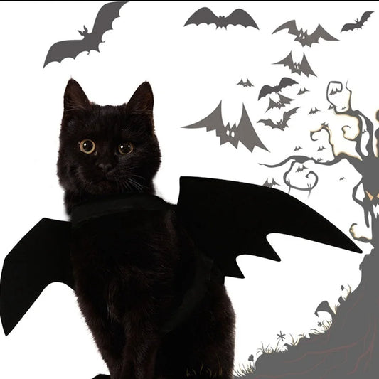 Adjustable Black Bat Wings Pet Costume