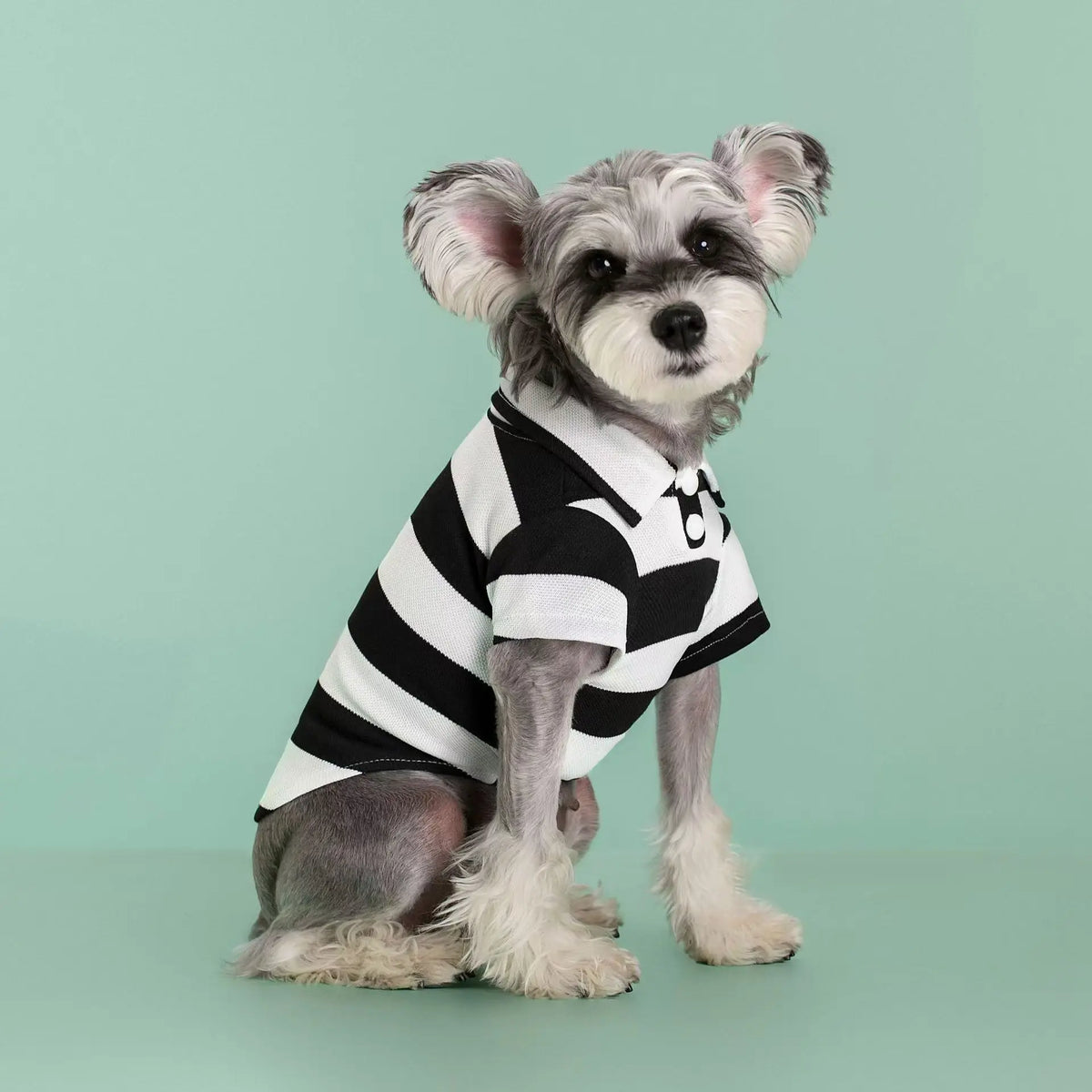 Striped Dog Polo Shirt with Short Sleeves