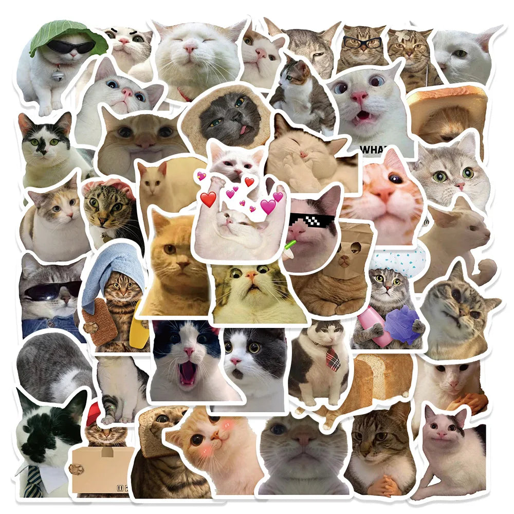 Adorable Realistic Cat Face Stickers Pack