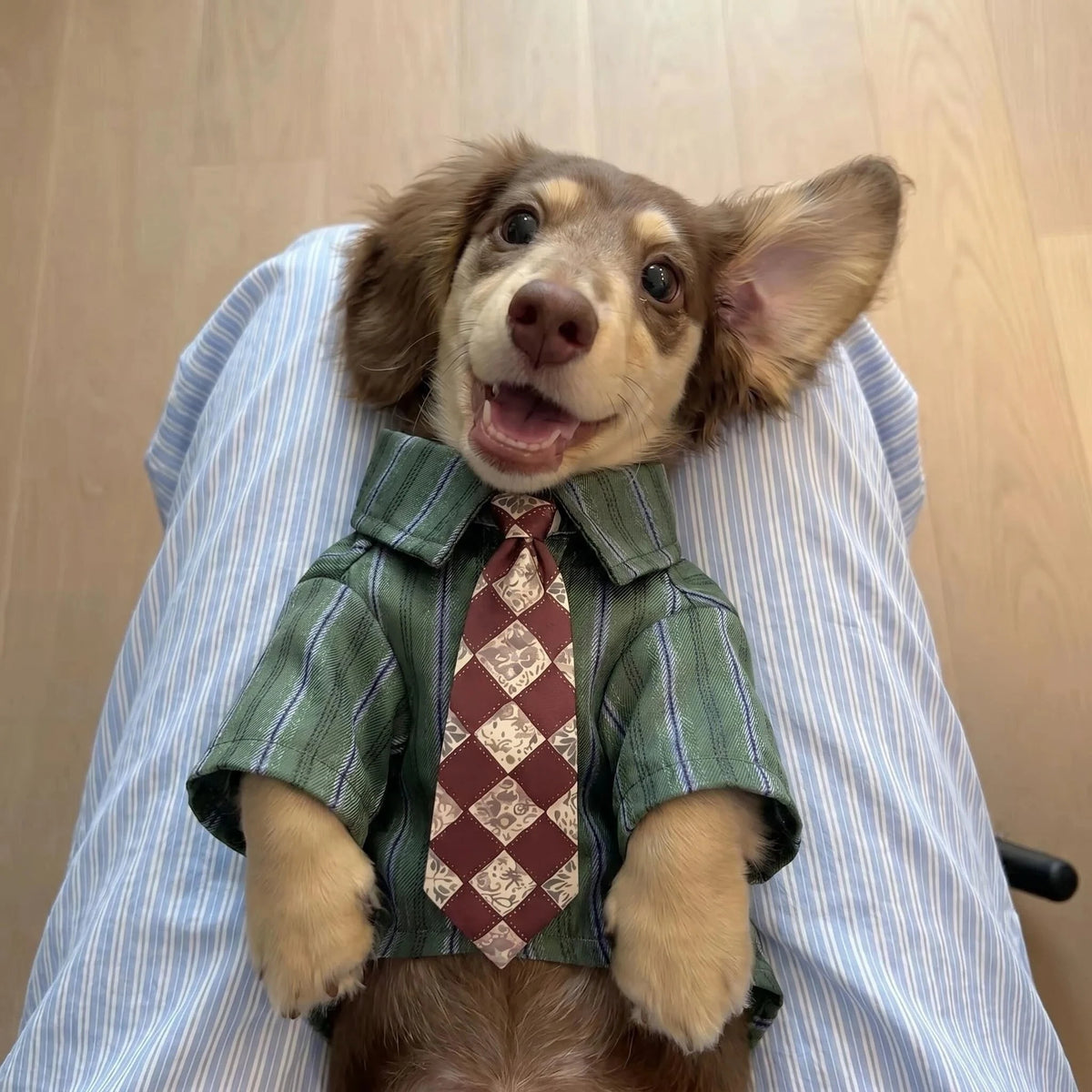 Plaid Pet Shirt with Diamond-Pattern Necktie