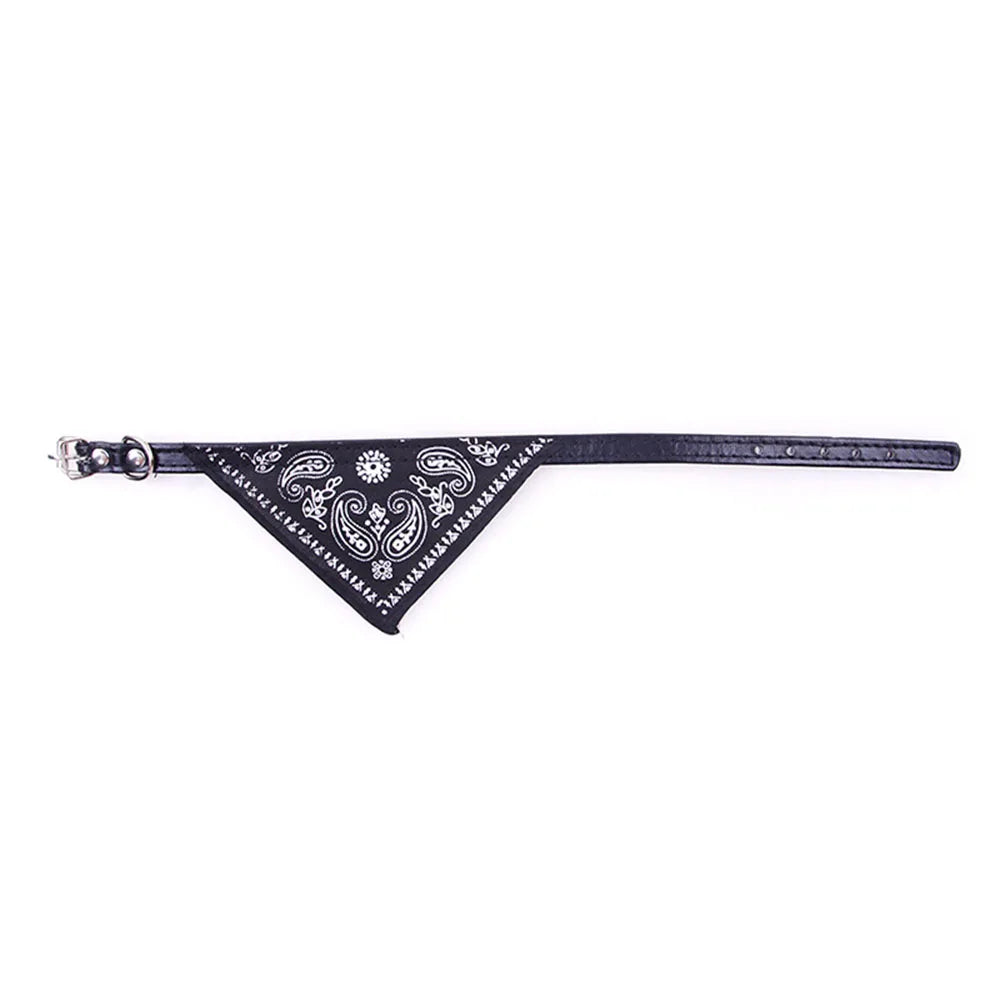 Paisley Cat Bandana Collar