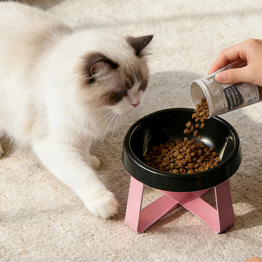 Tilted Anti-Vomiting Elevated Feeder
