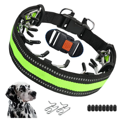 Guard Elite Prong Collar