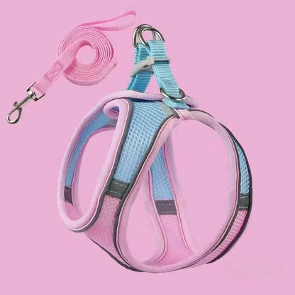 Cute Vest Harness Leash for Kitten