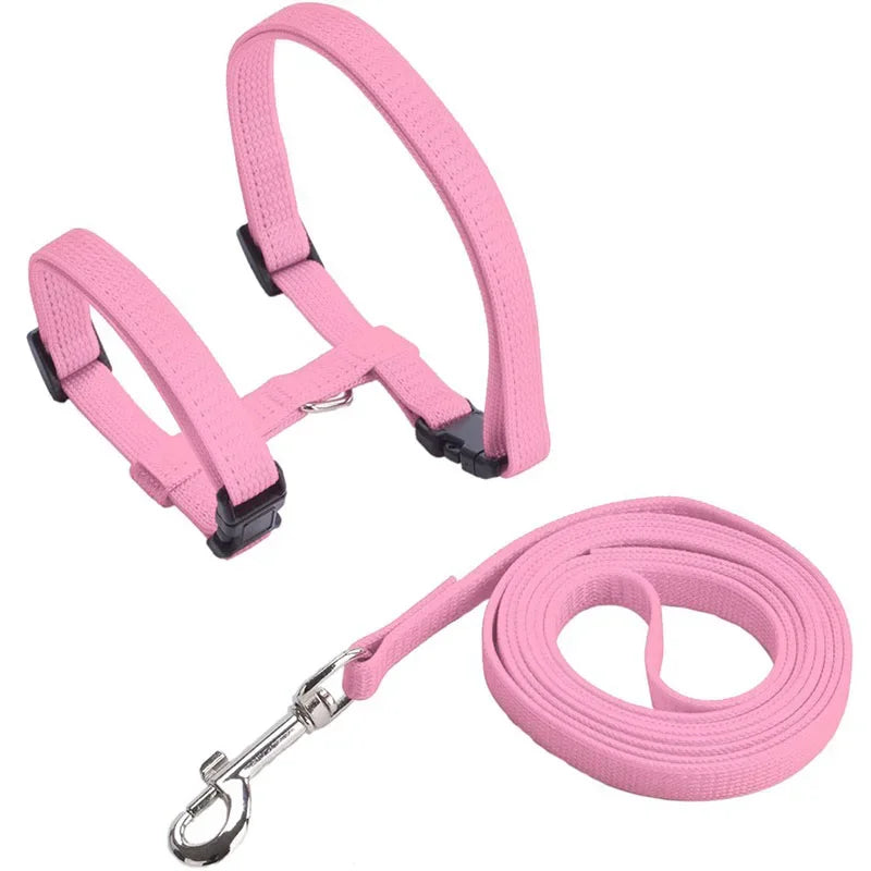 Collier de harnais anti-évasion pour chat