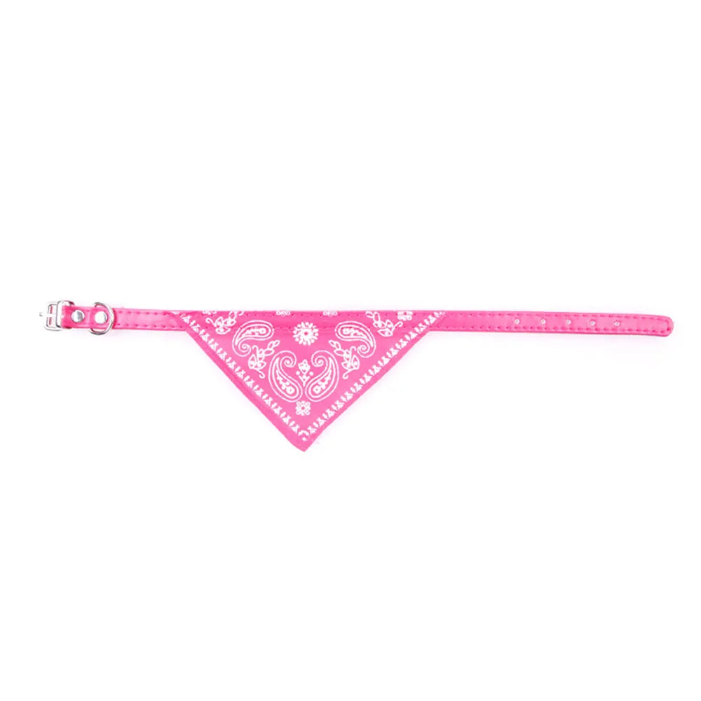 Paisley Cat Bandana Collar