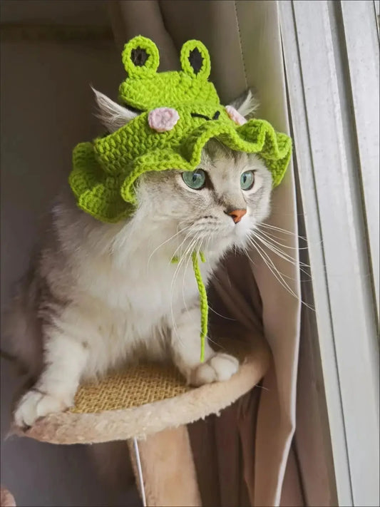 Winter Cat Hat Cute Crochet