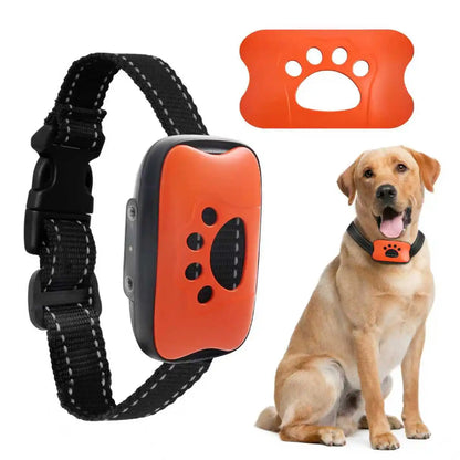 Smart Dog Training Collar