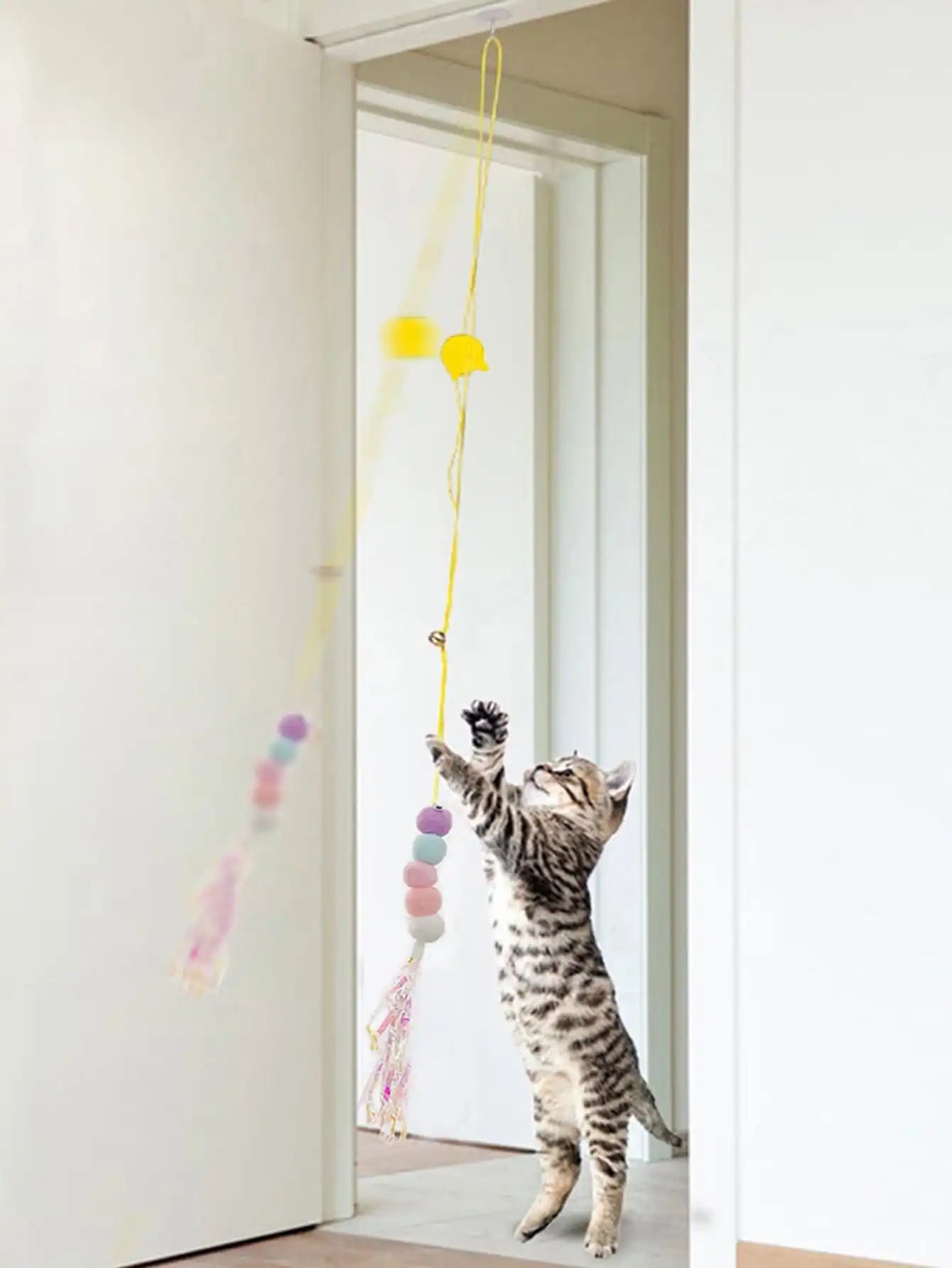 Juguete Divertido Elástico para Gato
