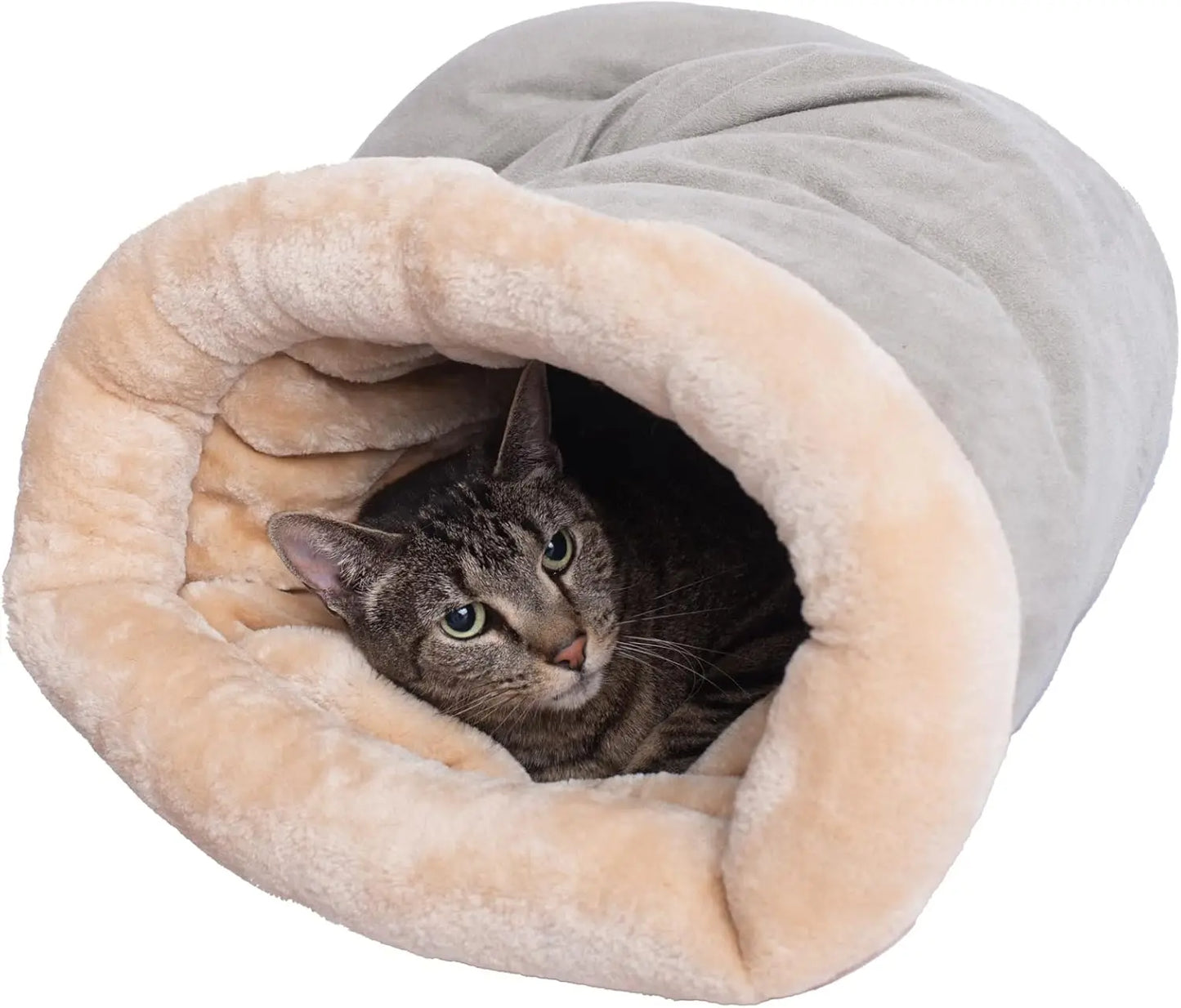 Winter Cat Sleeping Warm Bed