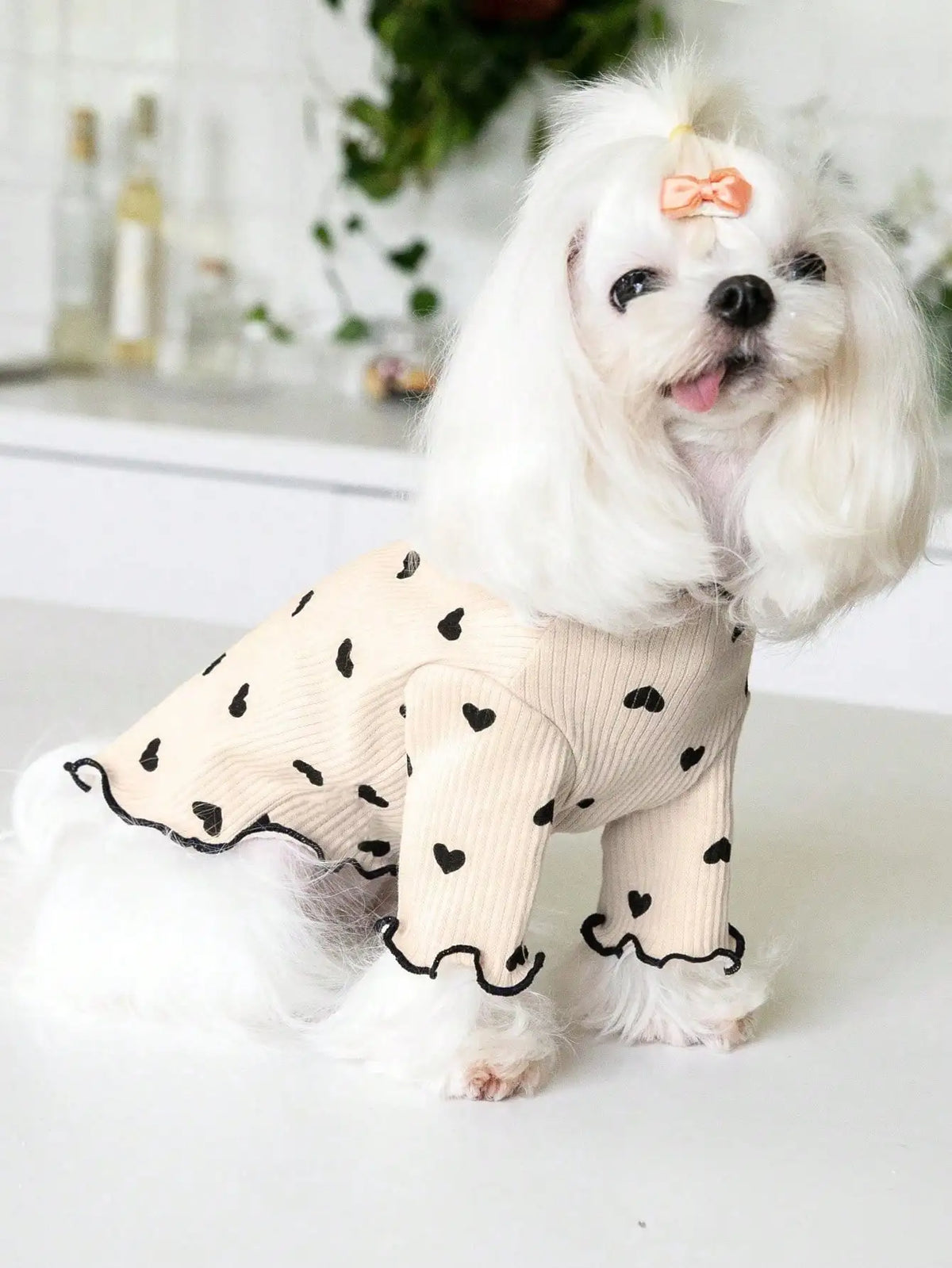 Heart-Print Waffle Dog Shirt with Ruffle Edges