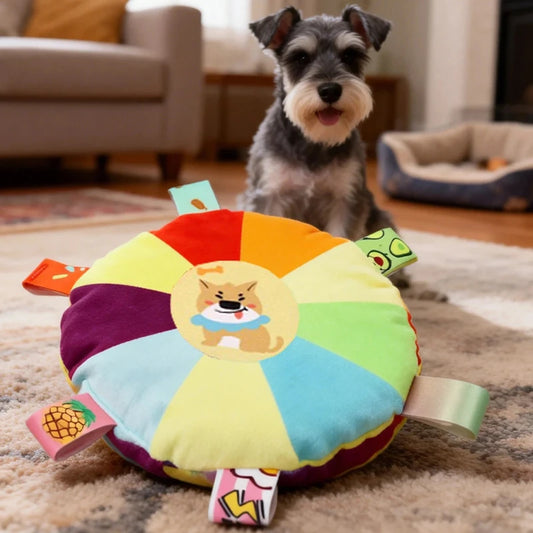 Rainbow Plush Bell Disc Dog Toy