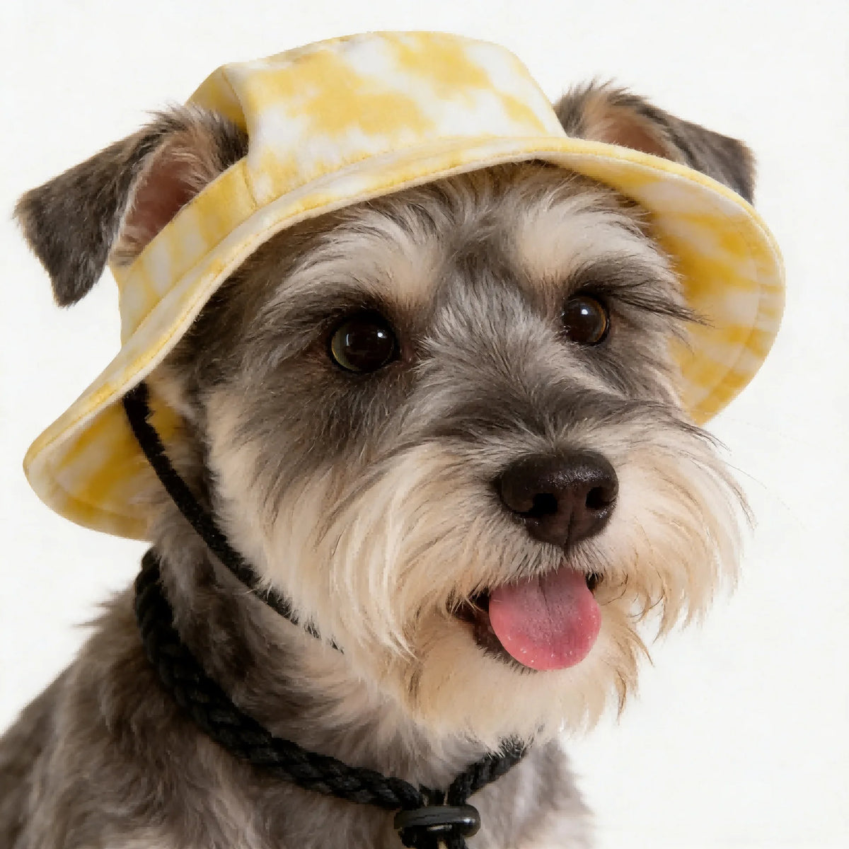 Printed Cotton Pet Bucket Hat with Ear Openings and Adjustable Cord