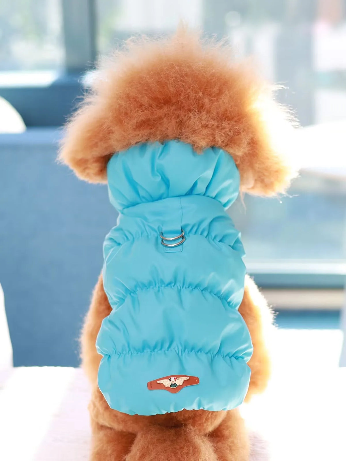Puffer-Style Dog Jacket for Autumn and Winter