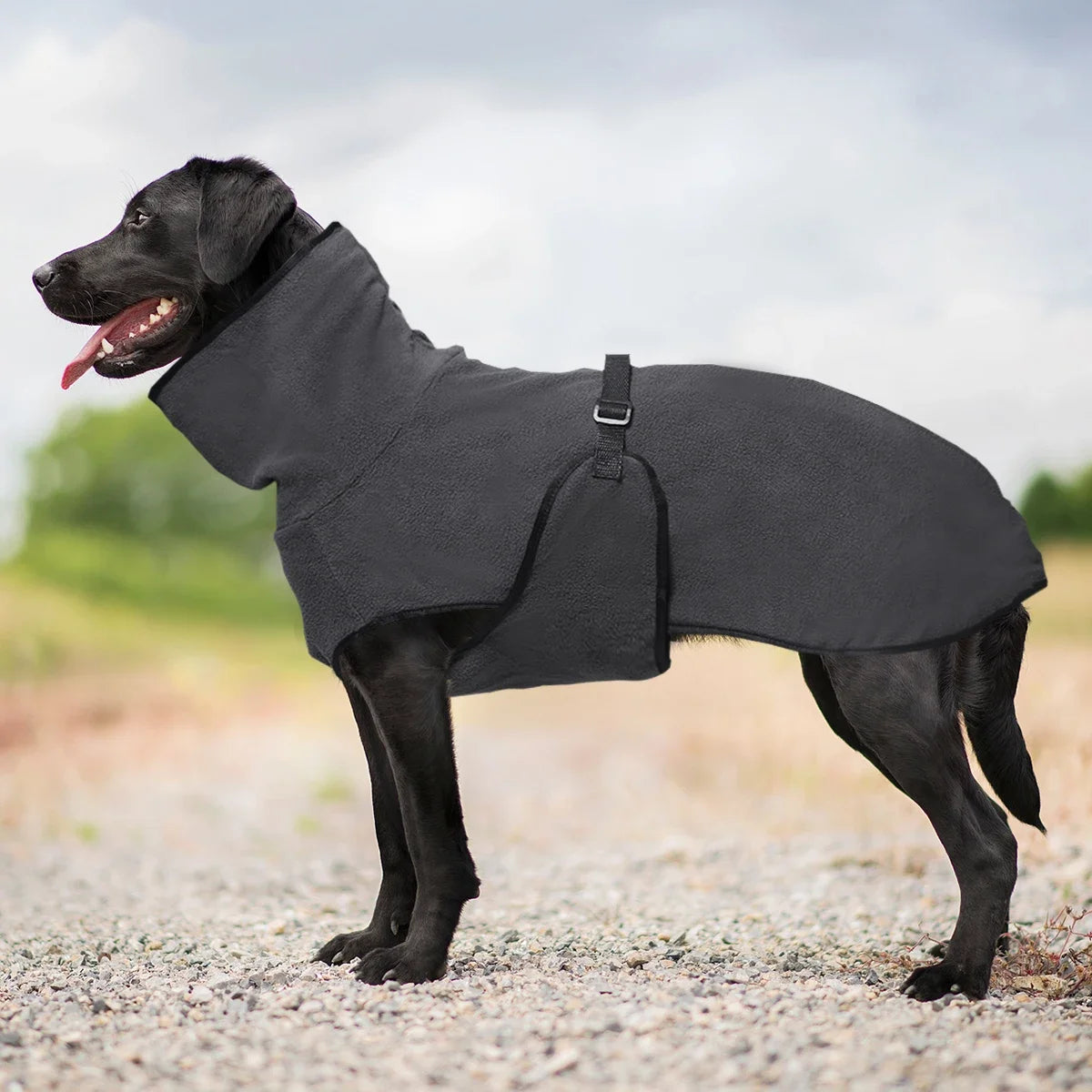 High-Neck Dog Coat with Adjustable Back Strap