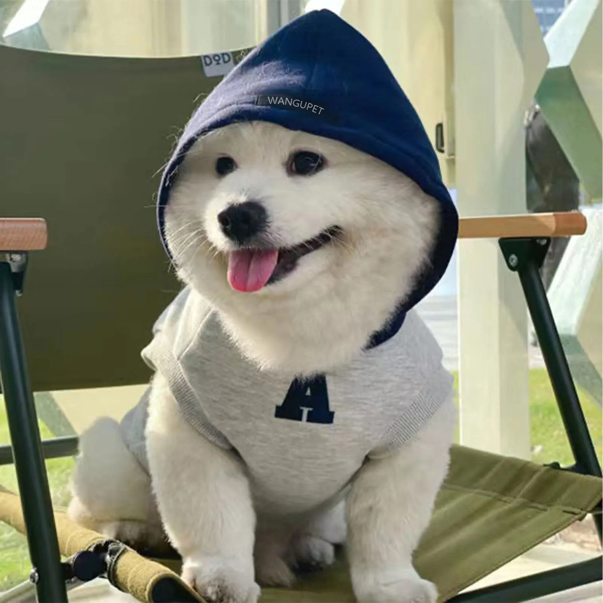 Colorblock Dog Hoodie with Varsity Letter Detail