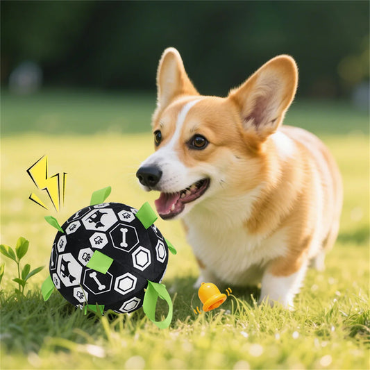 Interactive Soccer Ball Plush Dog Toy