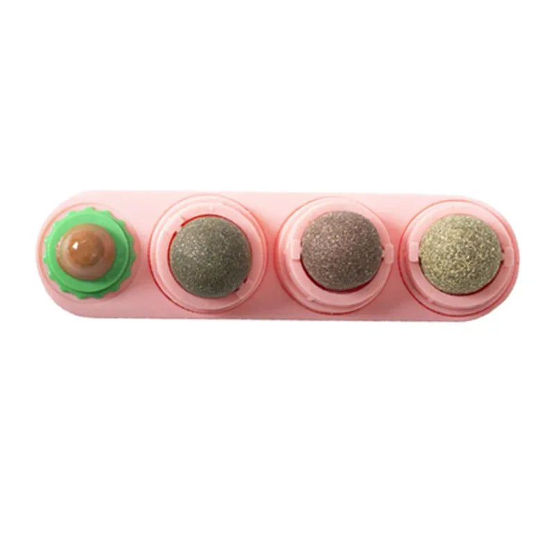 4 in 1 Rotating Catnip Ball Teeth Toy