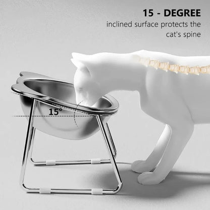 Elevated Tilted Stainless Steel Pet Bowl
