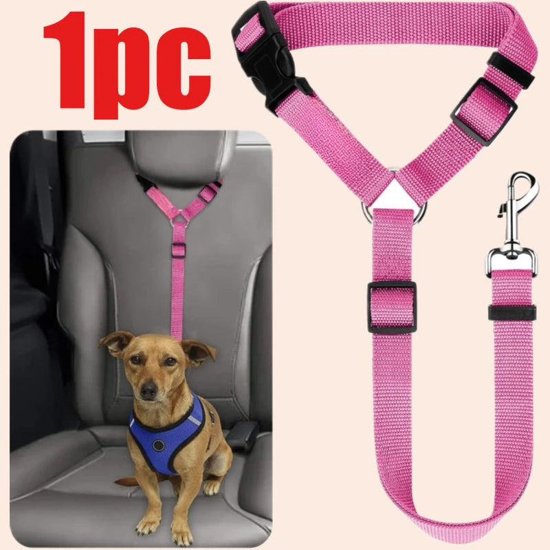 Cintura di sicurezza per auto per cani