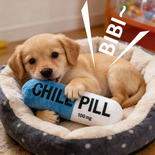 ChillPill Plush Toy
