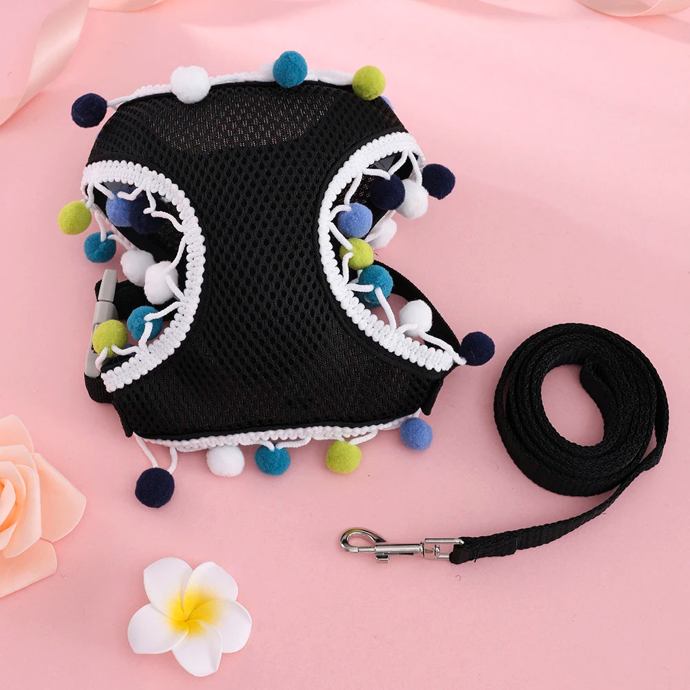 Butterfly Cat Harness Set