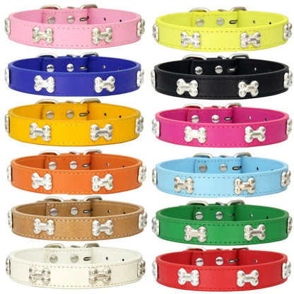 Colorful Dog Collar with Bone Studs