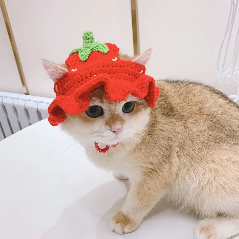 Chapeau de chat d'hiver au crochet mignon