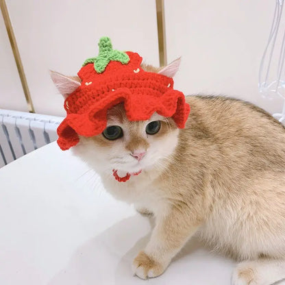 Chapeau de chat d'hiver au crochet mignon