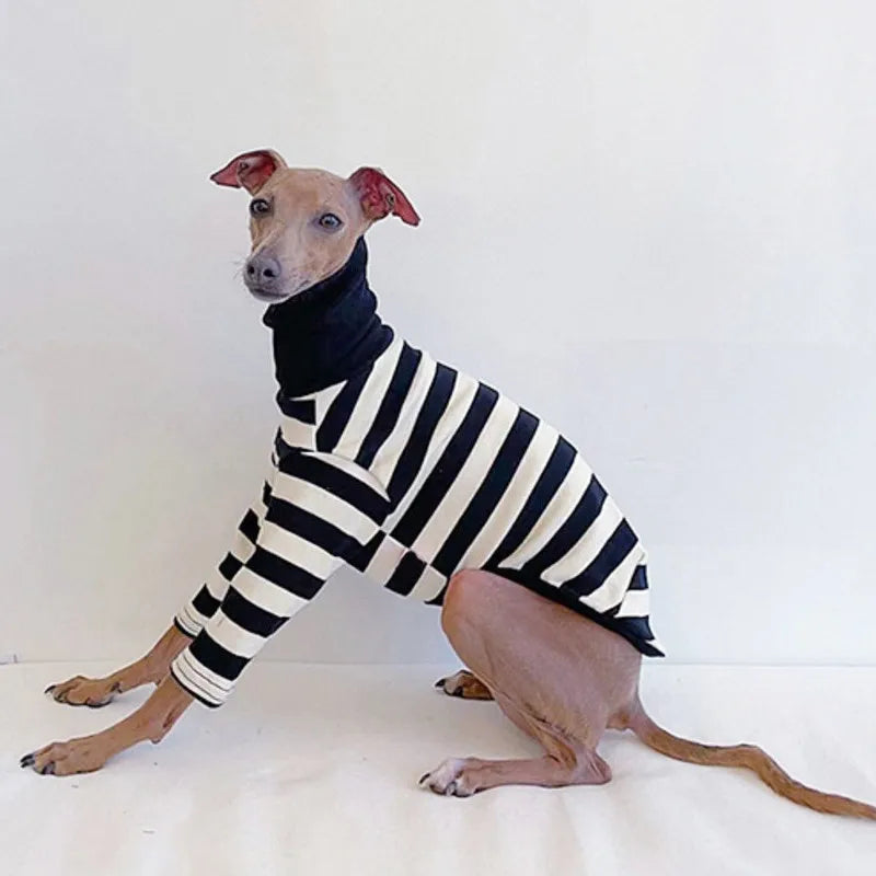 Schwarz-weiß gestreiftes Hundeshirt mit hohem Kragen