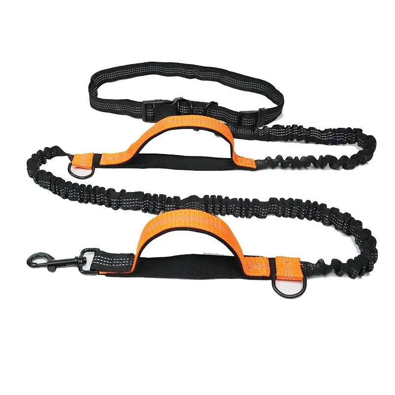 ActiveFlex Hands-Free Leash