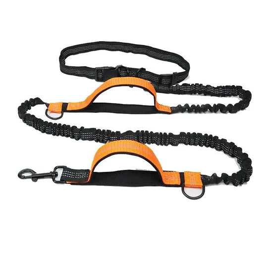 ActiveFlex Hands-Free Leash