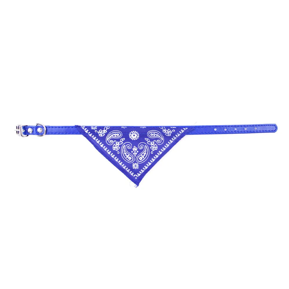 Paisley Cat Bandana Collar