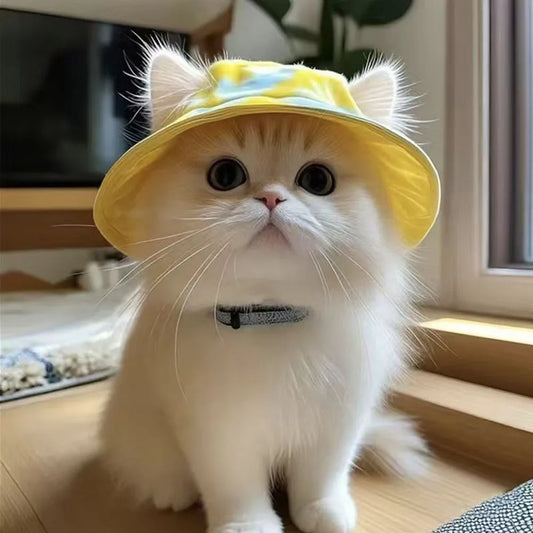 Sunny Days Pet Bucket Hat