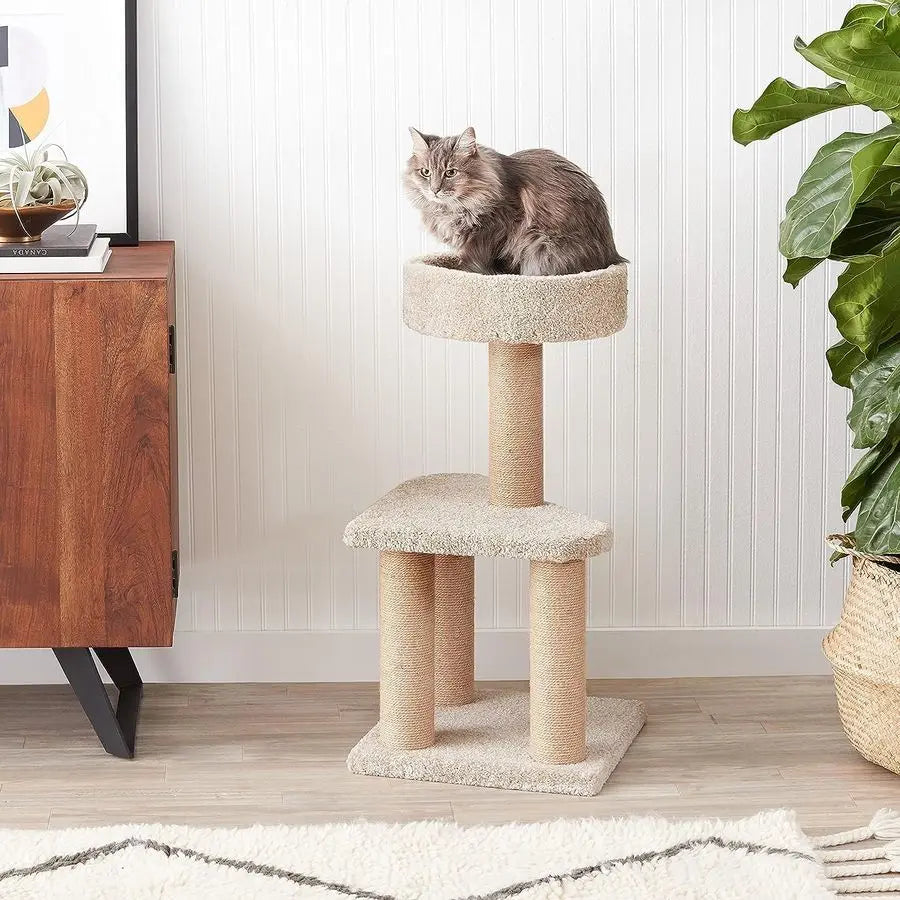Basics Cat Tree Tower Scratching