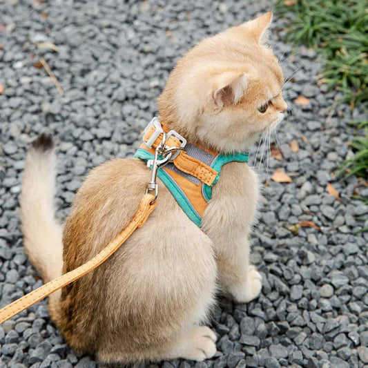 Cute Vest Harness Leash for Kitten