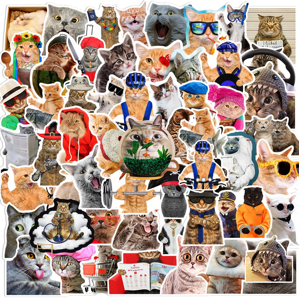 Hilarious Cat Stickers Pack