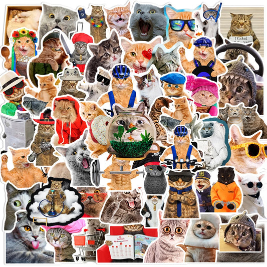 Hilarious Cat Stickers Pack