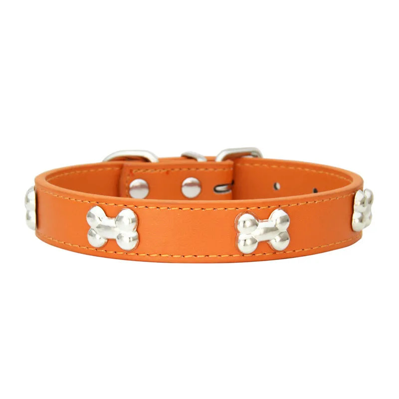 Colorful Dog Collar with Bone Studs