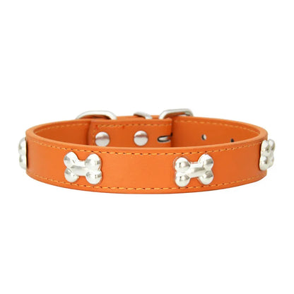 Colorful Dog Collar with Bone Studs