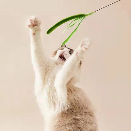 Pole Wire Cat Toy with Feather